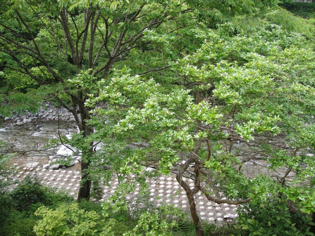 Annex Turtle Hotori-An Hotel Nikko Exterior photo